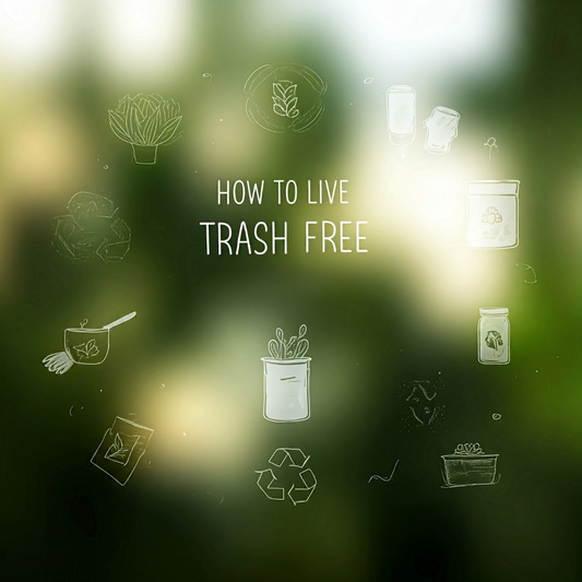 How to live trash free? 